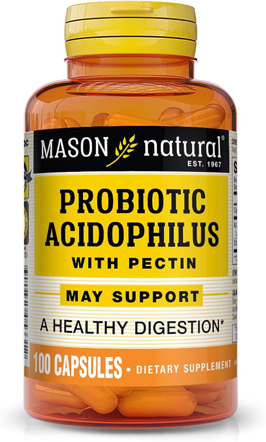 Mason Natural Acidophilus with Pectin Capsules, Digestive Aid - 100 Capsules