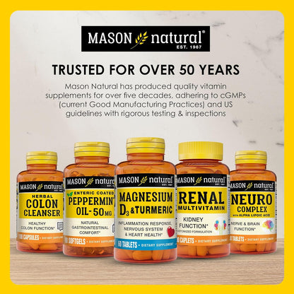 MASON NATURAL Stress B,Complex with Antioxidants + Zinc, 2 Month Supply, Dual Action Formula, Supports Immune Health, 1 Pack