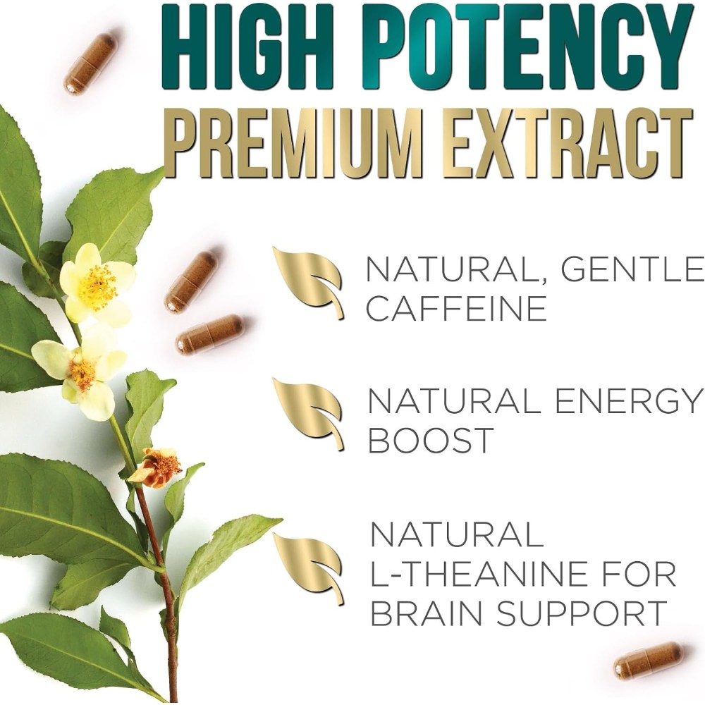 Nature's Nutrition Green Tea Green Tea Extract 3x strength 1040mg per serving 240 Capsules