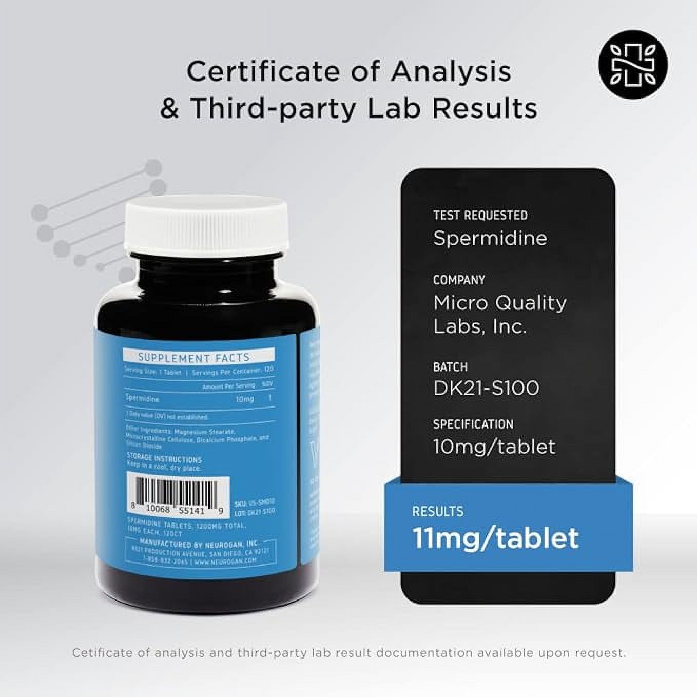 Spermidine Supplement - 10mg - 99% Pure Spermidine - Clinically Tested - 3rd Party Tested - Autophagy Supplement - Made in USA, Metabolic Boost, 120 Vegan Tablets Neurogan Health